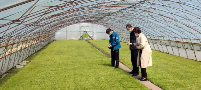 綏棱農技“零距離” 服務下沉田間，科技賦能春耕