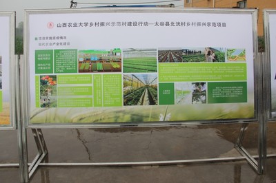 園藝學院春菜品種展示交流會 科技賦能農業，創新引領未來